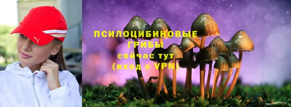 MDMA Богородск